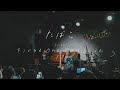 「たばこ」from 久保あおい FIRST ONEMAN-LIVE -17-