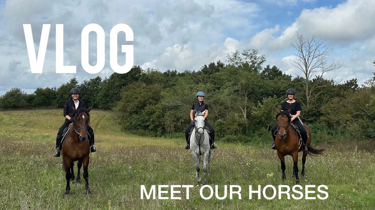VLOG// MEET OUR HORSES