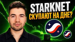 I CHECKED STARKNET — WHO IS BUYING THE DIP