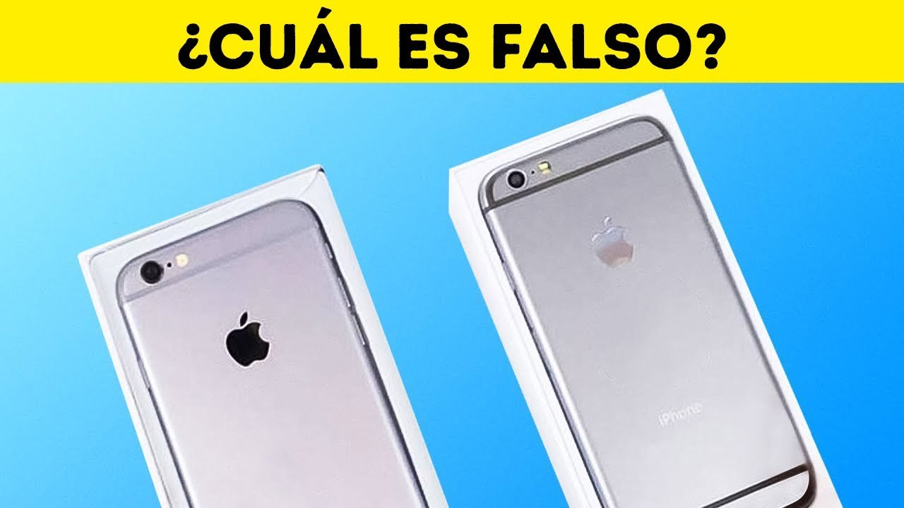 ¿Falso o no falso? 17 acertijos y tests de trivia que te volarán la mente acertijos de logica con respuesta
