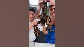 LOBSTER LASAGNA @NickDiGiovanni