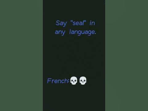 to say seal in french its "phoque" that sounds like fu** - YouTube