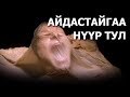 ДЭЛХИЙН ХАМГИЙН АЙМШИГТАЙ 10 ЗҮЙЛС