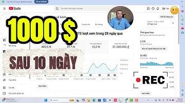 1000 $ Sau 10 Ngày Bật Kiếm Tiền - Hành Trình Xây Kênh View Ngoại Từ Con Sô 0 (Ngày 27)