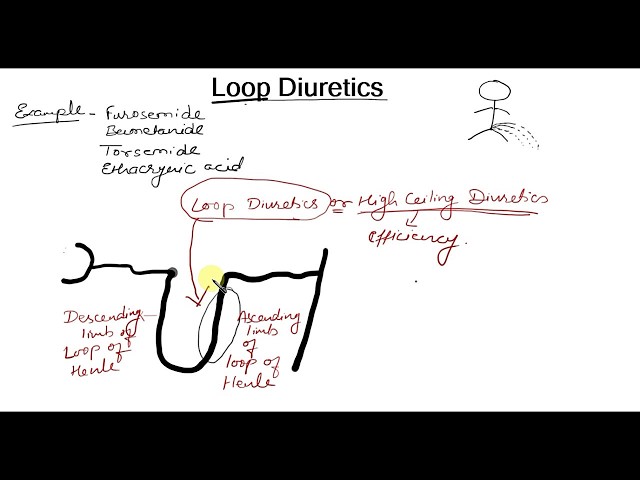 Loop Diuretics Simple Explaination In Hindi Bhushan