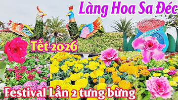 Làng Hoa Sa Đéc Festival Lần 2 Tết 2026 nhộn nhịp tưng bừng sôi động đón hàng ngàn du khách khắp nơi