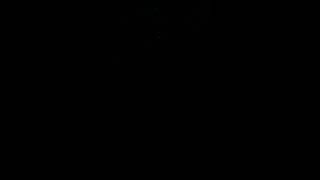 Odd Horn On 4Th Of July