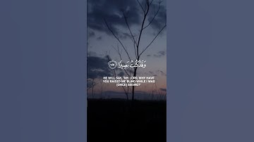 قال رب لم حشرتني أعمى/تلاوة خاشعة ومؤثرة/ سورة طه #المصحف #راحة_نفسية