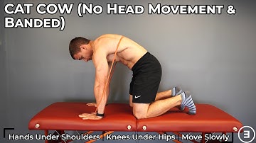 Cat Cow (No Head Movement and Banded) | Spine Range of Motion | Flexion & Extension