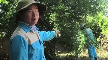 Horrifying Abandoned House Cleanup | Terrifying Moment a Giant Python Ambushes From the Darkness