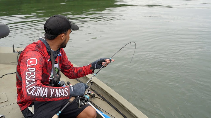 Competencia De Pesca