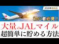 【結論これが最強】モッピーのドリームキャンペーンが一番JALマイルが貯まる理由を解説
