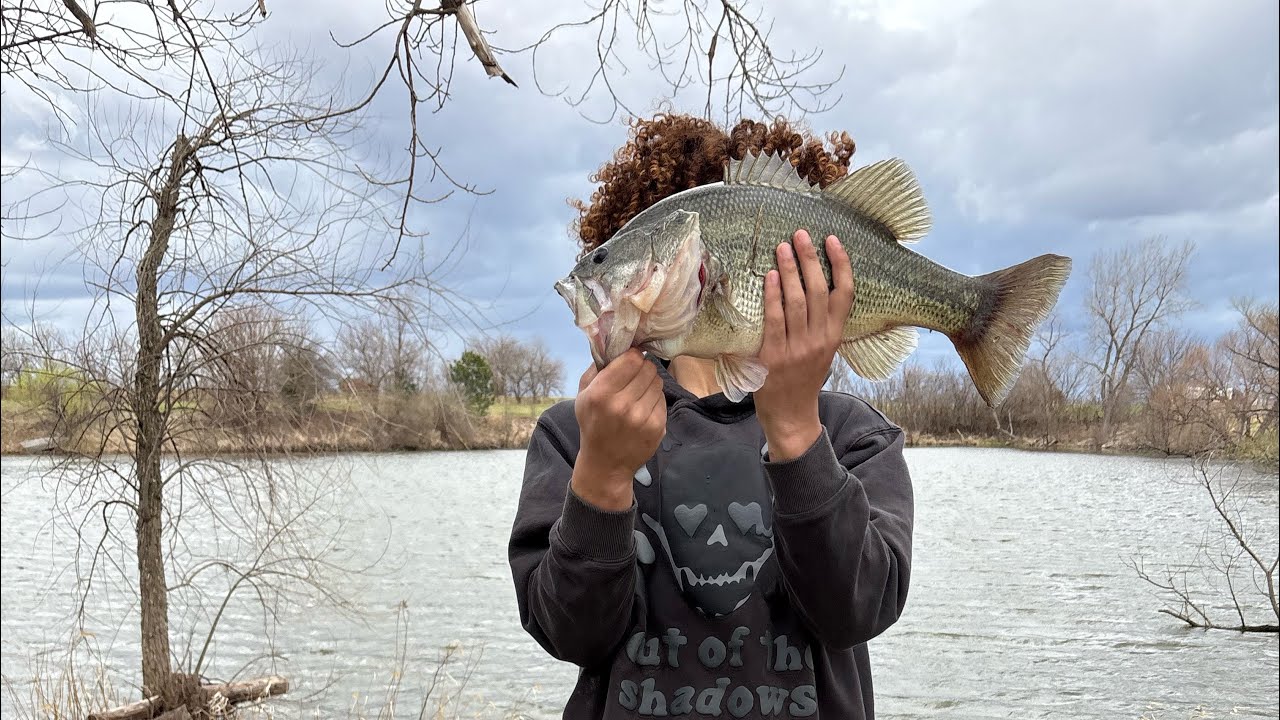 Pre spawn cold front bass fishing (live / crankbait)