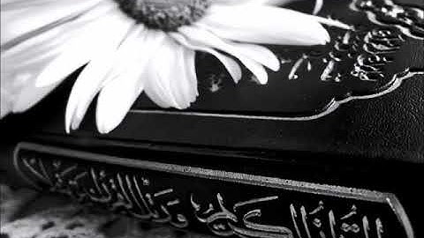سورة سبأ للشيخ القارئ هاني الرفاعي