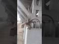 playing monkey