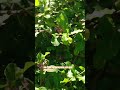 Sertão Um ótimo dia abençoado por DEUS para todos