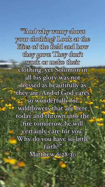 matthew-6-28-30-jesus-christianfaith-bible-faith-christian