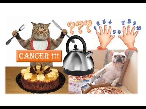 Видео: Топ 10 продуктов, вызывающих рак. Опасная еда и продукты питания, которые следует остерегаться.