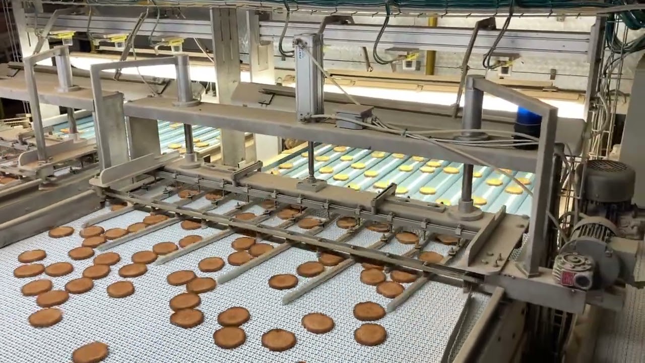 CMA Componenti - Selezionatrice ottica fette biscottate