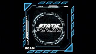 Static Pulze - Roam