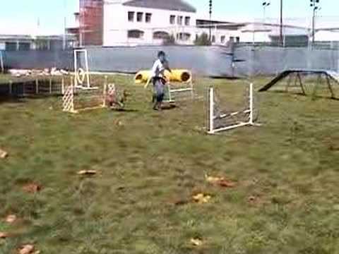 Sabrina Does Agility 