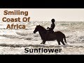 SUNFLOWER - YOUR HORSE AND TRAVEL GUIDE IN GAMBIA