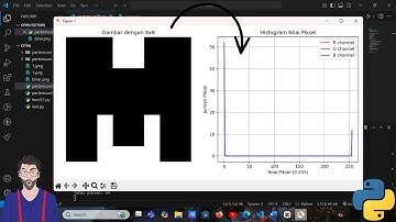 PERTEMUAN 3: MELIHAT CITRA NILAI PIXEL PADA GAMBAR 8 X 8, MEMBUAT HISTOGRAM SERTA CODE PYTHON
