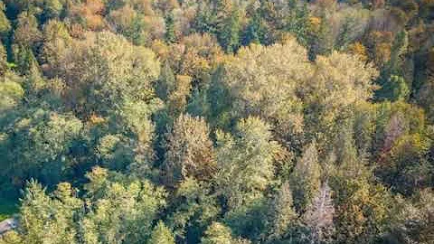 Windermere Real Estate/Whatcom, Inc. - 0 Jerome Rd