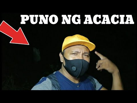 Video: Puno Ng Satin