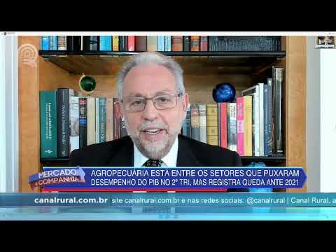 PIB do Brasil cresce 1,2% no 2º trimestre; agropecuária sobe 0,5% | Canal Rural