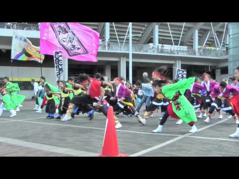 2011 ひまわりフェスティバル（総踊り）－よっちょれ（どっこいしょ）