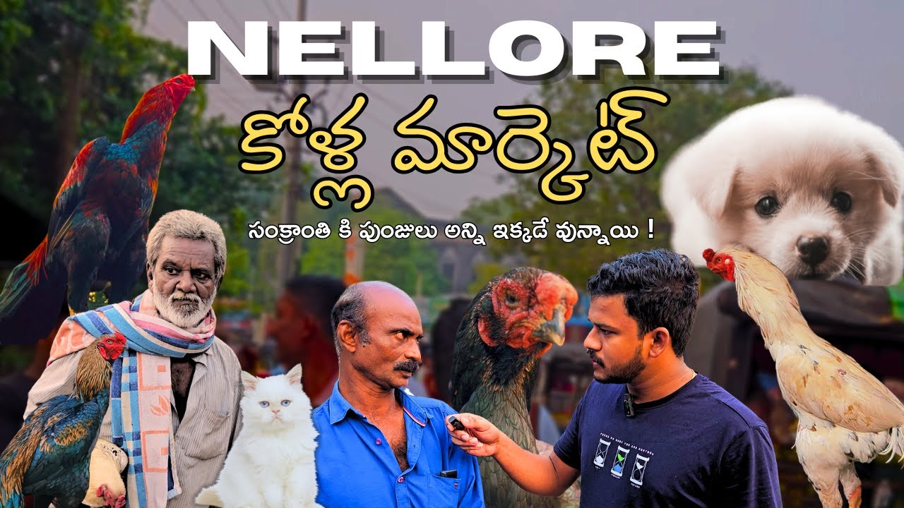 Nellore Kolla Santha  | Kollu enti intha cheap aa 😮 | 15-12-1024 | Vlog | Technical Farmers Telugu