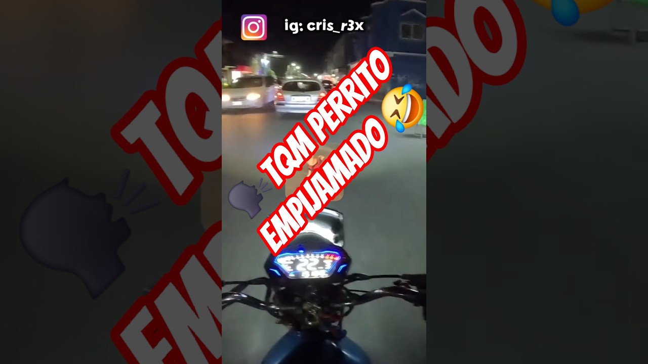 🗣tqm perrito 💖 