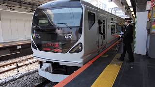 E257系0番台　9両編成　臨時特急　かいじ70号　新宿駅到着　2020.03.22