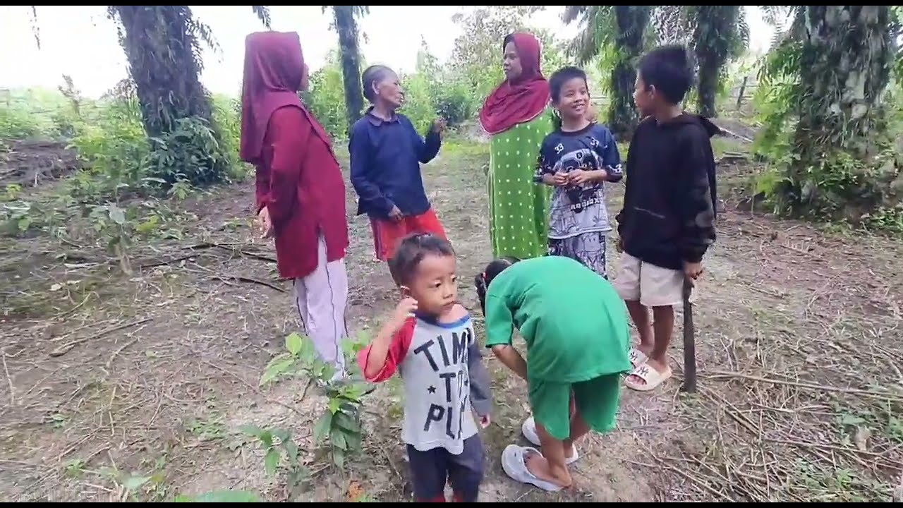Ular besar berhasil di tangkap di pondok pakde ramai anak-anak kekebun libur sekolah