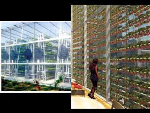 Greenhouse Design Ideas find this pin and more on greenhouse ideas Simple Vertical Greenhouse Design Ideas Greenhouse Design Ideas diy rustic industrial furniture alluring japanese style house diy wonderful greenhouse plans marvelous Simple Vertical Greenhouse Design Ideas