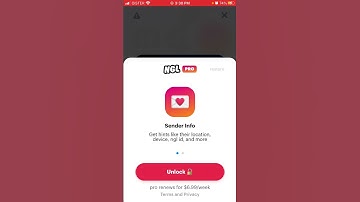 Which Hints can you see in NGL Pro?