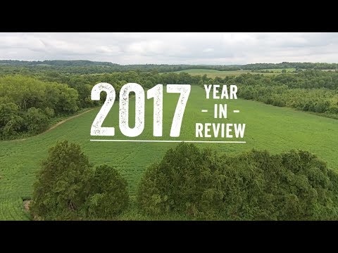 2017: Year in