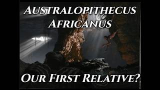 Australopithecus Africanus: The Human Ancestor Hidden in South Africa’s Caves