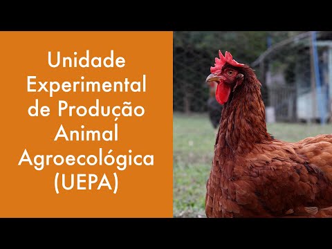 Conheça a UEPA (Unidade Experimental de Produção Animal Agroecológica) do Incaper