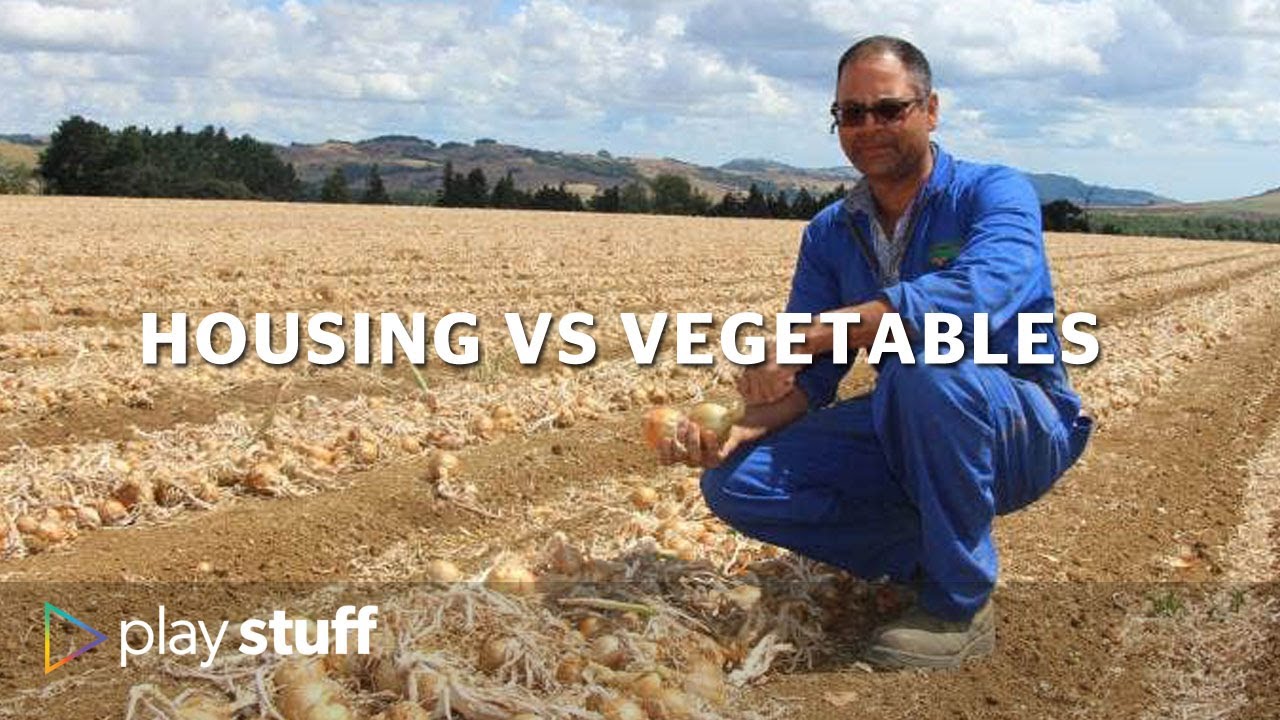 Housing vs vegetables: Productive New Zealand farmland 'lost to lifestyle blocks' | Stuff.co.nz