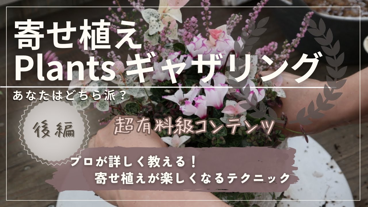 【超有料級】プランツギャザリングの秘密を解き明かす！後編がついに解禁｜寄せ植えとプランツギャザリングの違いについて