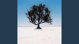 Don't Cry Out (Album Version)
