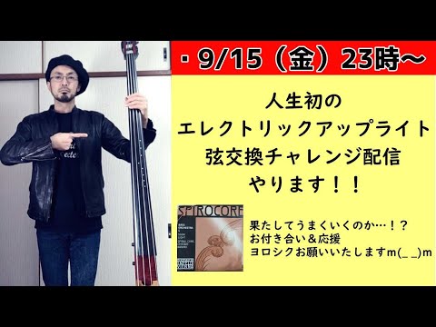 【3セット】ウッドベース・アップライトベース用　新品本体取り外し弦（未使用） 3セット】ウッドベース・アップライトベース用 新品本体取り外し