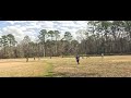 Chapel hill Cheetahs vs the Force First innings 7