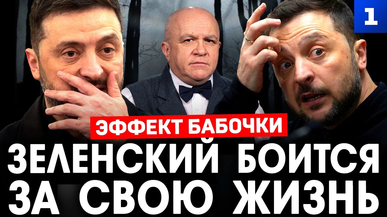 Эффект бабочки. Зеленский боится за свою жизнь