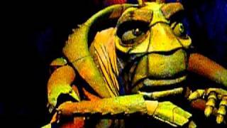 A Bugs Life 2010 Disney World Animal Kingdom