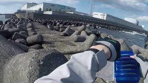 Câu cá chẽm,vược tại Nhật Bản ngày 4.18.2021