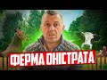 Якою має бути фермерська продукція? Що означає «еко»? |  Ферма Оністрата