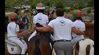 PONY GAMES LA DEHESA - TRIPLE BARRA: Dehesa del Guerrero 21 5 17 screenshot 4